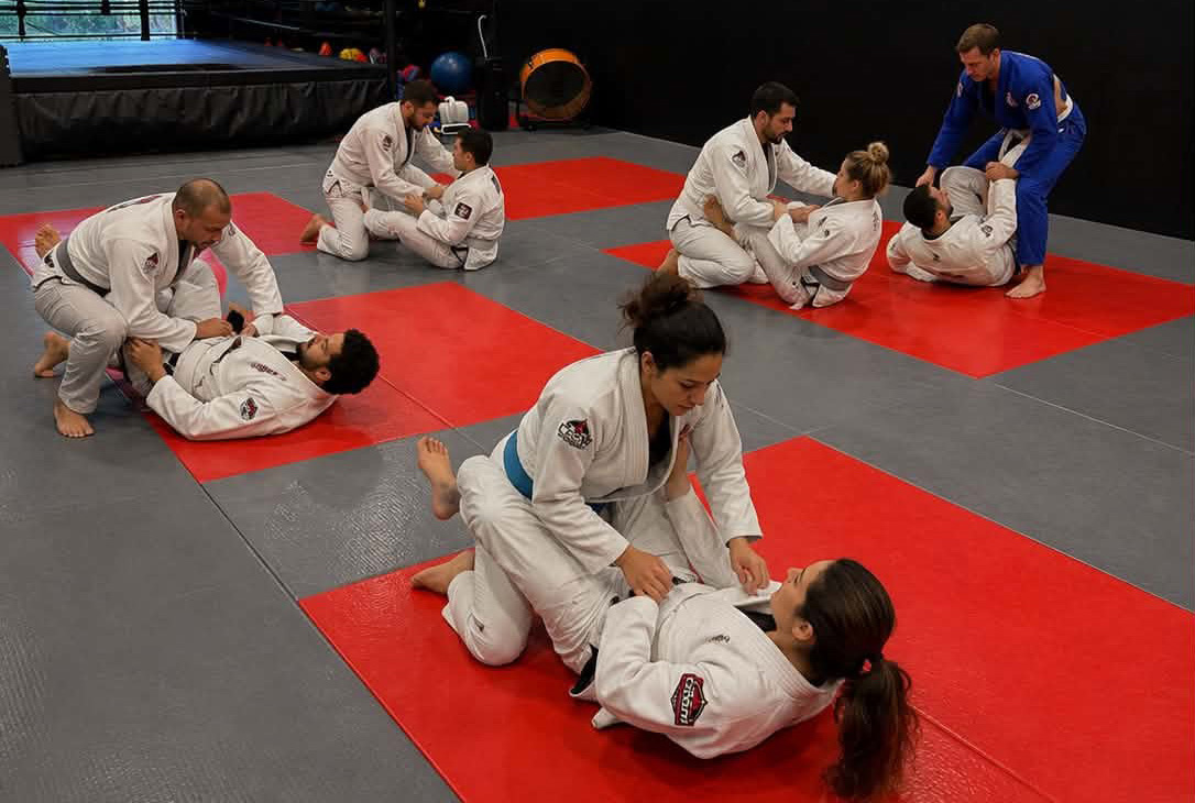 Adult BJJ training at Crow